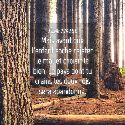 Picture 04 - Ésaïe 7:16 LSG - Mais avant que l'enfant sache rejeter le mal et - Bible Verse Picture