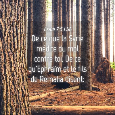 Picture 04 - Ésaïe 7:5 LSG - De ce que la Syrie médite du mal contre toi, De - Bible Verse Picture