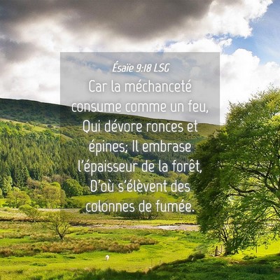 Picture 04 - Ésaïe 9:18 LSG - Car la méchanceté consume comme un feu, Qui - Bible Verse Picture