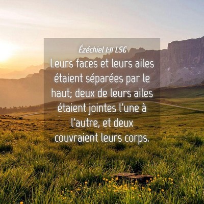 Picture 04 - Ézéchiel 1:11 LSG - Leurs faces et leurs ailes étaient séparées - Bible Verse Picture