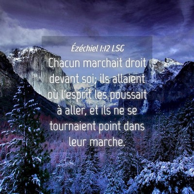 Picture 04 - Ézéchiel 1:12 LSG - Chacun marchait droit devant soi; ils allaient - Bible Verse Picture