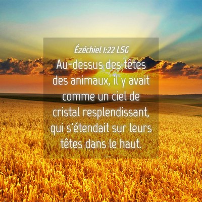 Picture 04 - Ézéchiel 1:22 LSG - Au-dessus des têtes des animaux, il y avait - Bible Verse Picture
