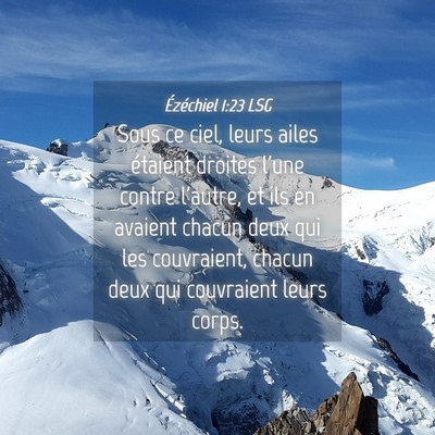 Picture 04 - Ézéchiel 1:23 LSG - Sous ce ciel, leurs ailes étaient droites l'une - Bible Verse Picture
