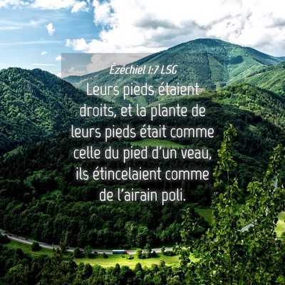 Picture 04 - Ézéchiel 1:7 LSG - Leurs pieds étaient droits, et la plante de - Bible Verse Picture