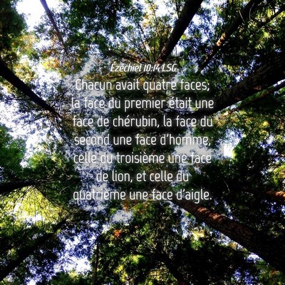 Picture 04 - Ézéchiel 10:14 LSG - Chacun avait quatre faces; la face du premier - Bible Verse Picture