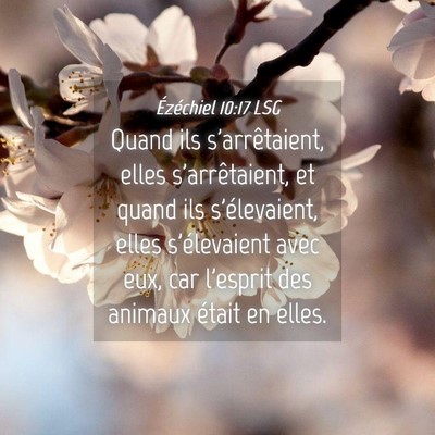 Picture 04 - Ézéchiel 10:17 LSG - Quand ils s'arrêtaient, elles s'arrêtaient, et - Bible Verse Picture