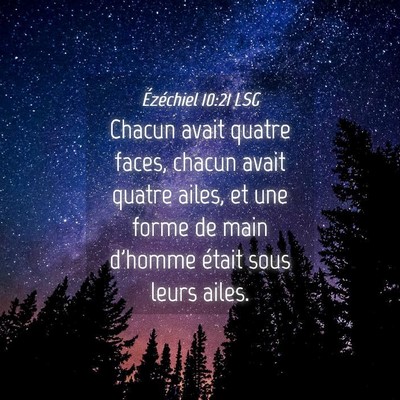 Picture 04 - Ézéchiel 10:21 LSG - Chacun avait quatre faces, chacun avait quatre - Bible Verse Picture