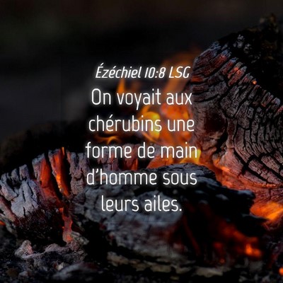 Picture 04 - Ézéchiel 10:8 LSG - On voyait aux chérubins une forme de main - Bible Verse Picture