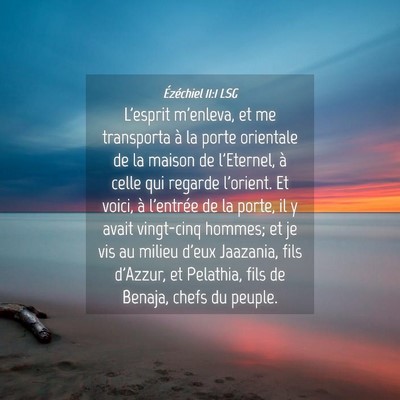 Picture 04 - Ézéchiel 11:1 LSG - L'esprit m'enleva, et me transporta à la porte - Bible Verse Picture