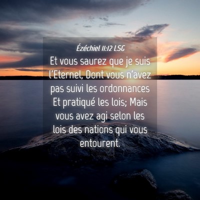 Picture 04 - Ézéchiel 11:12 LSG - Et vous saurez que je suis l'Eternel, Dont vous - Bible Verse Picture