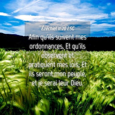 Picture 04 - Ézéchiel 11:20 LSG - Afin qu'ils suivent mes ordonnances, Et qu'ils - Bible Verse Picture