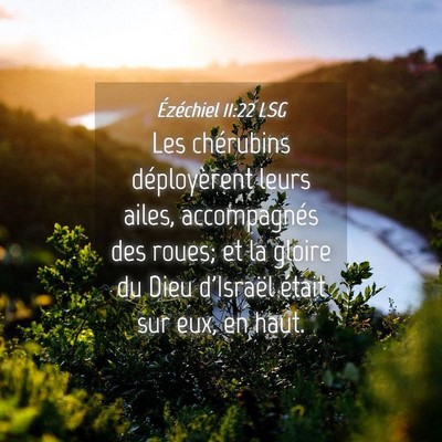 Picture 04 - Ézéchiel 11:22 LSG - Les chérubins déployèrent leurs ailes, - Bible Verse Picture