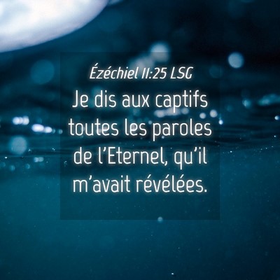 Picture 04 - Ézéchiel 11:25 LSG - Je dis aux captifs toutes les paroles de - Bible Verse Picture