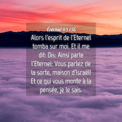 Picture 04 - Ézéchiel 11:5 LSG - Alors l'esprit de l'Eternel tomba sur moi. Et il - Bible Verse Picture