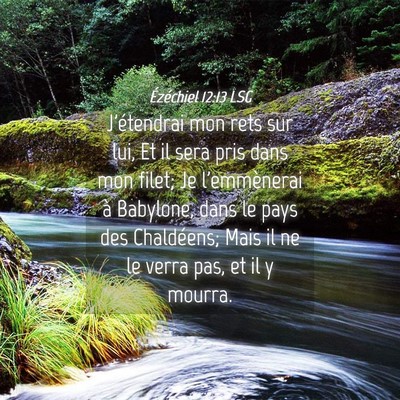Picture 04 - Ézéchiel 12:13 LSG - J'étendrai mon rets sur lui, Et il sera pris - Bible Verse Picture