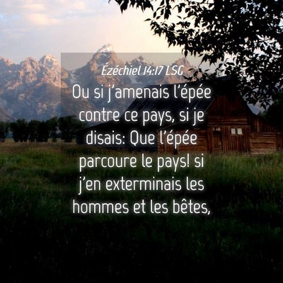 Picture 04 - Ézéchiel 14:17 LSG - Ou si j'amenais l'épée contre ce pays, si je - Bible Verse Picture