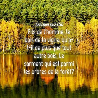 Picture 04 - Ézéchiel 15:2 LSG - Fils de l'homme, le bois de la vigne, qu'a-t-il - Bible Verse Picture