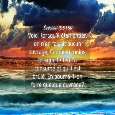 Picture 04 - Ézéchiel 15:5 LSG - Voici, lorsqu'il était entier, on n'en faisait - Bible Verse Picture
