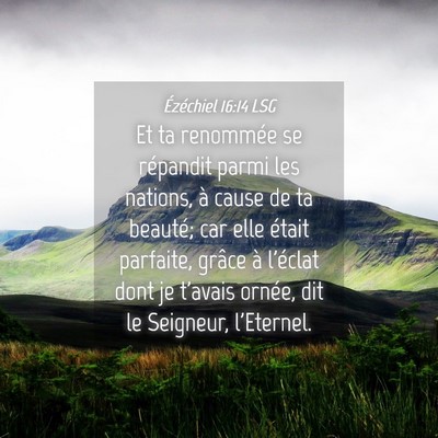 Picture 04 - Ézéchiel 16:14 LSG - Et ta renommée se répandit parmi les nations, - Bible Verse Picture