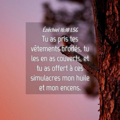 Picture 04 - Ézéchiel 16:18 LSG - Tu as pris tes vêtements brodés, tu les en as - Bible Verse Picture