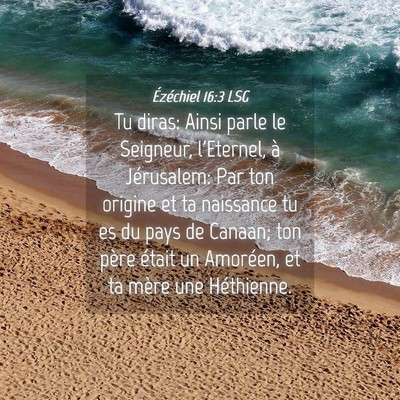 Picture 04 - Ézéchiel 16:3 LSG - Tu diras: Ainsi parle le Seigneur, l'Eternel, à - Bible Verse Picture