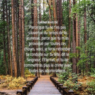 Picture 04 - Ézéchiel 16:43 LSG - Parce que tu ne t'es pas souvenue du temps de ta - Bible Verse Picture