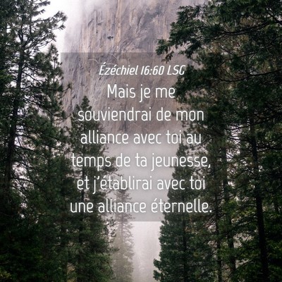 Picture 04 - Ézéchiel 16:60 LSG - Mais je me souviendrai de mon alliance avec toi - Bible Verse Picture