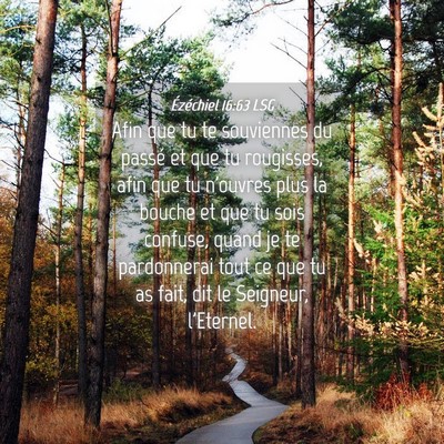 Picture 04 - Ézéchiel 16:63 LSG - Afin que tu te souviennes du passé et que tu - Bible Verse Picture