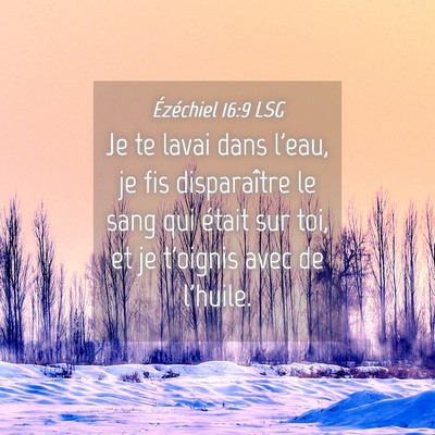 Picture 04 - Ézéchiel 16:9 LSG - Je te lavai dans l'eau, je fis disparaître le - Bible Verse Picture