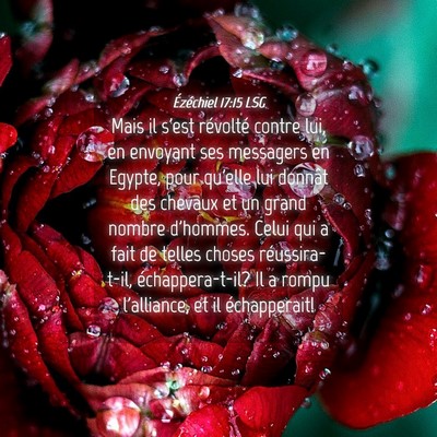 Picture 04 - Ézéchiel 17:15 LSG - Mais il s'est révolté contre lui, en envoyant - Bible Verse Picture