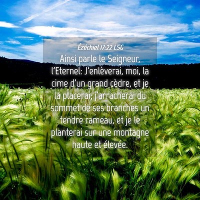 Picture 04 - Ézéchiel 17:22 LSG - Ainsi parle le Seigneur, l'Eternel: J'enlèverai, - Bible Verse Picture