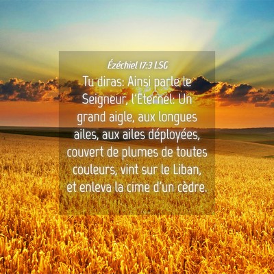 Picture 04 - Ézéchiel 17:3 LSG - Tu diras: Ainsi parle le Seigneur, l'Eternel: Un - Bible Verse Picture