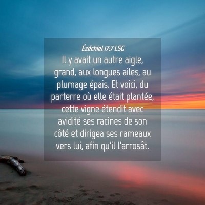 Picture 04 - Ézéchiel 17:7 LSG - Il y avait un autre aigle, grand, aux longues - Bible Verse Picture