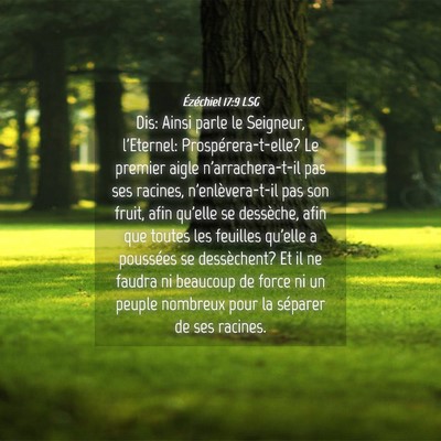 Picture 04 - Ézéchiel 17:9 LSG - Dis: Ainsi parle le Seigneur, l'Eternel: - Bible Verse Picture