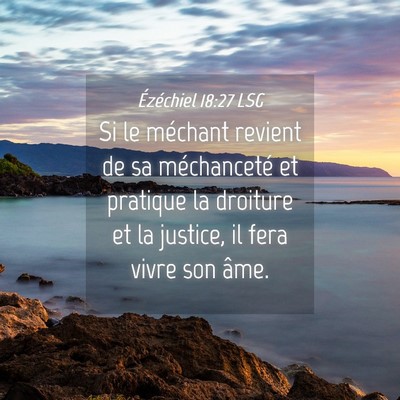 Picture 04 - Ézéchiel 18:27 LSG - Si le méchant revient de sa méchanceté et - Bible Verse Picture