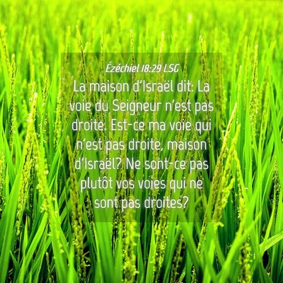 Picture 04 - Ézéchiel 18:29 LSG - La maison d'Israël dit: La voie du Seigneur - Bible Verse Picture