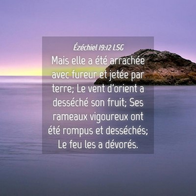 Picture 04 - Ézéchiel 19:12 LSG - Mais elle a été arrachée avec fureur et jetée - Bible Verse Picture