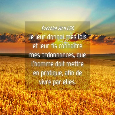 Picture 04 - Ézéchiel 20:11 LSG - Je leur donnai mes lois et leur fis connaître - Bible Verse Picture