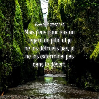 Picture 04 - Ézéchiel 20:17 LSG - Mais j'eus pour eux un regard de pitié et je ne - Bible Verse Picture