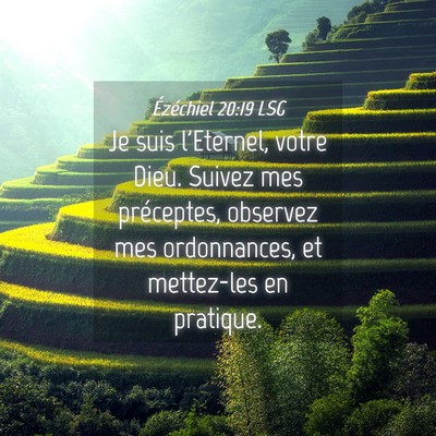 Picture 04 - Ézéchiel 20:19 LSG - Je suis l'Eternel, votre Dieu. Suivez mes - Bible Verse Picture