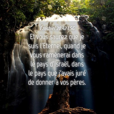 Picture 04 - Ézéchiel 20:42 LSG - Et vous saurez que je suis l'Eternel, quand je - Bible Verse Picture