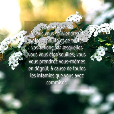 Picture 04 - Ézéchiel 20:43 LSG - Là vous vous souviendrez de votre conduite et de - Bible Verse Picture