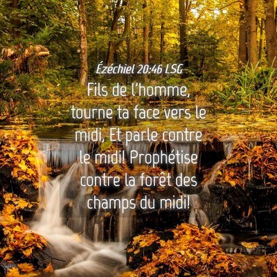 Picture 04 - Ézéchiel 20:46 LSG - Fils de l'homme, tourne ta face vers le midi, Et - Bible Verse Picture