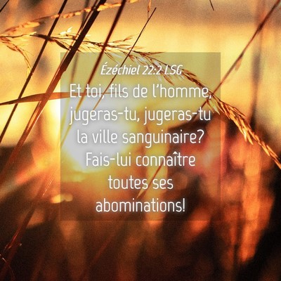 Picture 04 - Ézéchiel 22:2 LSG - Et toi, fils de l'homme, jugeras-tu, jugeras-tu - Bible Verse Picture