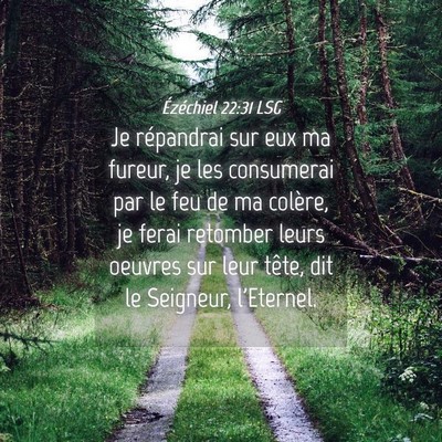 Picture 04 - Ézéchiel 22:31 LSG - Je répandrai sur eux ma fureur, je les - Bible Verse Picture
