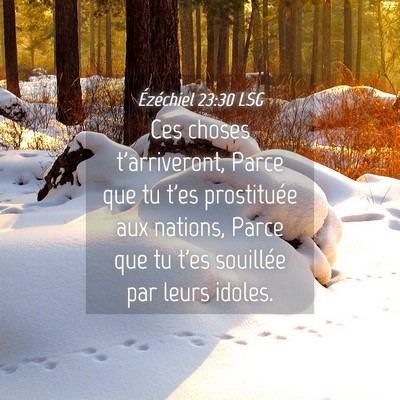Picture 04 - Ézéchiel 23:30 LSG - Ces choses t'arriveront, Parce que tu t'es - Bible Verse Picture
