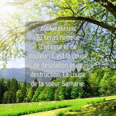Picture 04 - Ézéchiel 23:33 LSG - Tu seras remplie d'ivresse et de douleur; C'est - Bible Verse Picture
