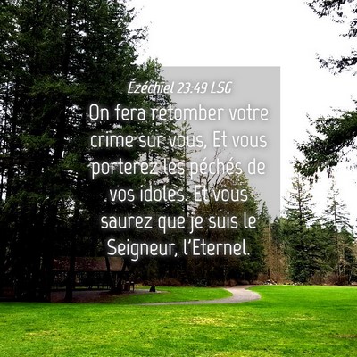 Picture 04 - Ézéchiel 23:49 LSG - On fera retomber votre crime sur vous, Et vous - Bible Verse Picture