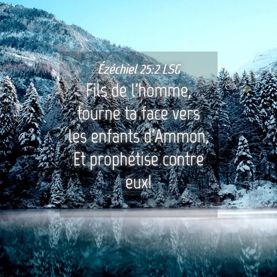 Picture 04 - Ézéchiel 25:2 LSG - Fils de l'homme, tourne ta face vers les enfants - Bible Verse Picture