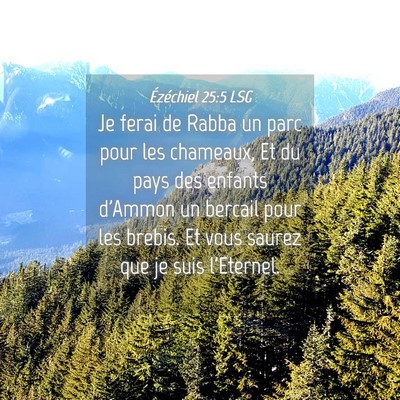 Picture 04 - Ézéchiel 25:5 LSG - Je ferai de Rabba un parc pour les chameaux, Et - Bible Verse Picture